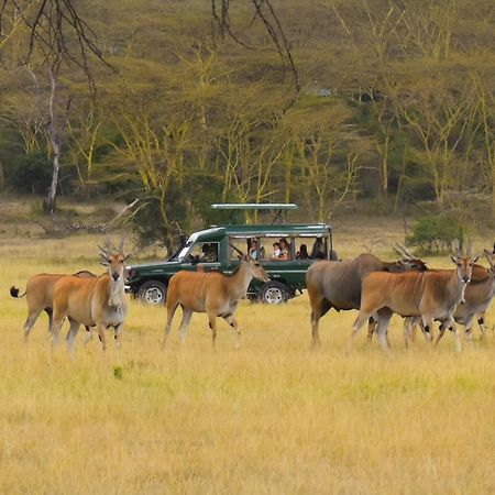 Lake Elmenteita Serena Camp エクステリア 写真