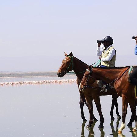 Lake Elmenteita Serena Camp エクステリア 写真