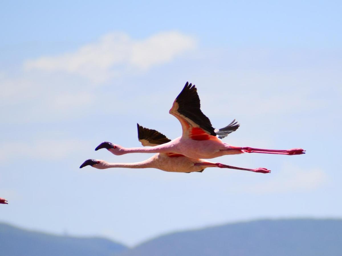 Lake Elmenteita Serena Camp エクステリア 写真