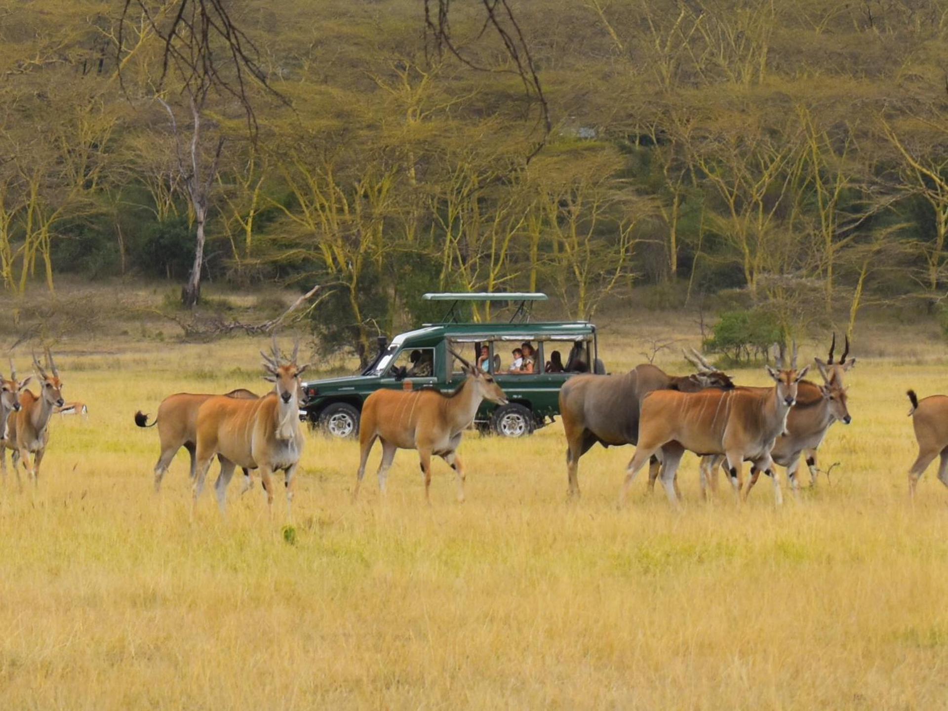 Lake Elmenteita Serena Camp エクステリア 写真